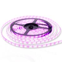 Светодиодная лента Standart PRO class, 5050, 60 led/m, RGB, 24V, P79, IP65