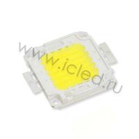 Светодиодная матрица COB D533 (50W, 30-36V, day white)