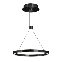 Светильник SP-CONGO-CAN-1-R400-24W Day4000 (BK, 120 deg, 230V) (Arlight, IP20 Металл, 5 лет)