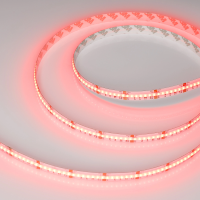 Светодиодная Лента CSP-X840-12mm 24V RGBW-Day (17.2 W/m, IP20, 5m)  (Arlight, 5 лет)