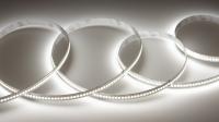 Светодиодная лента Class Premium, 2835, 240 led/m, однорядная, white, 12V, 24W/m, IP20, A71