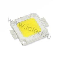 Светодиодная матрица COB D534 (30W, 30-32V, day white)