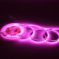 Светодиодная лента Standart Pro class, 2835, 120 led/m, 5mm, без скотча, pink, 24V, IP20, SL12