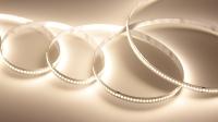 Светодиодная лента Class Premium, 2835, 240 led/m, однорядная, day white, 12V, 24W/m, IP20, A70