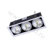 Светодиодный светильник карданный AR90-3 OD3 (220V, 3х20W, white)