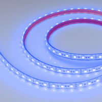 Светодиодная Лента герметичная RTW-PFS-B60-13mm 12V Blue (14.4 W/m, IP68, 5060, 5m) (Arlight, 14.4 Вт/м, IP68)
