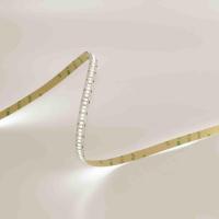 Светодиодная лента Standart PRO class, 3014, 240 LED, day white, 12V, IP20, V629