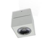 Накладной светодиодный светильник SW (12.3W, Day White)