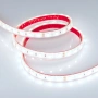 Светодиодная Лента герметичная RTW-PFS-B60-13mm 24V Cool 10K (14.4 W/m, IP68, 5060, 5m) (Arlight, 14.4 Вт/м, IP68)