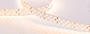 Светодиодная Лента RT 2-5000 24V Warm2700 3x2 (2835, 1260 LED, CRI98) (Arlight, 27 Вт/м, IP20)
