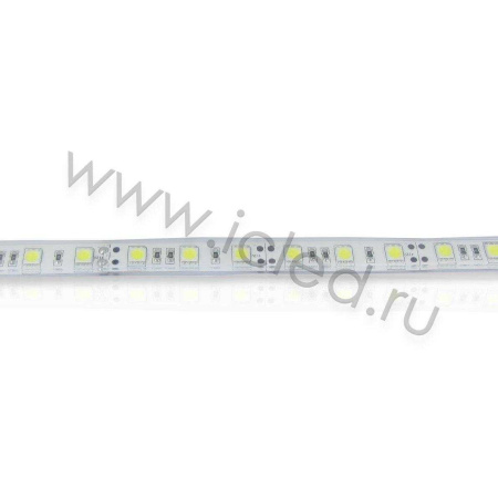 Светодиодная лента LUX class, 5050, 60 led/m, Cool White,24V,P622, IP68