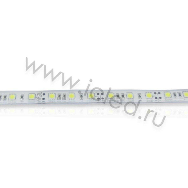 Светодиодная лента LUX class, 5050, 60 led/m, Cool White,24V,P622, IP68