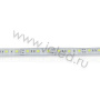 Светодиодная лента LUX class, 5050, 60 led/m, Cool White,24V,P622, IP68