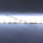 Светодиодная лента LUX class, 5050, 60 led/m, White,12V, IP65