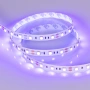 Светодиодная Лента RT-B60-10mm 12V UV400 (14.4 W/m, IP20, 5060, 5m) (Arlight, Открытый)