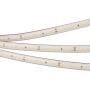 Светодиодная Лента RTW 2-5000PS 24V Cool 8K 2x (2835, 160 LED/m, LUX) (Arlight, 12 Вт/м, IP67)