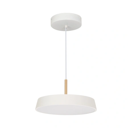 Светильник SP-ELEGANT-R300-17W Warm3000 (WH, 120 deg, 230V) (Arlight, IP20 Металл, 3 года)