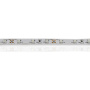 Светодиодная лента Standart PRO class, 3528, 60 led/m, Green, 12V, IP20