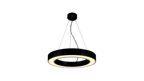 Светильник DWR 1003D5.6