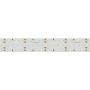 Светодиодная Лента S2-2500 24V Day 4000K 34mm (2835, 280 LED/m, LUX) (Arlight, 25 Вт/м, IP20)