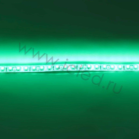 Светодиодная лента Standart PRO class, 3528, 120 led/m, Green, 12V, IP65