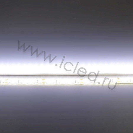 Светодиодная лента Standart PRO class, 3528, 120 led/m, Day White, 24V, IP65