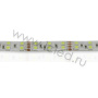 Светодиодная лента Standart PRO class, 5050, 120 led/m, White, 24V, IP65