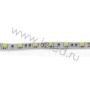 Светодиодная лента LUX сlass , 5050, 60 led/m, white,12V, C70, IP20