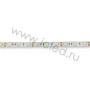 Светодиодная лента Standart class, 5050, 60led/m, White, 12V, IP65