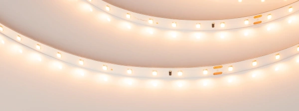 Светодиодная Лента IC-A60-10mm 24V Warm2400 (4.6 W/m, IP20, 2835, 30m) (Arlight, 4.6 Вт/м, IP20)