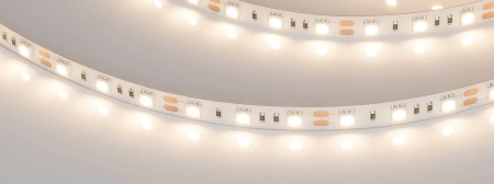 Светодиодная Лента RT-B60-10mm 12V Warm3000 (14.4 W/m, IP20, 5060, 5m) (Arlight, 14.4 Вт/м, IP20)