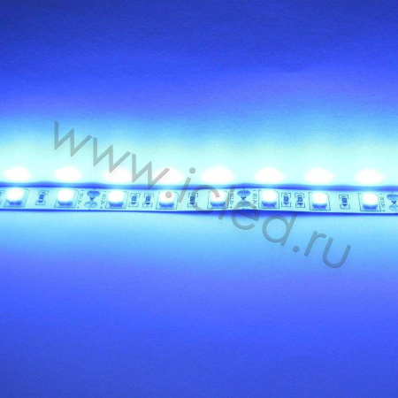 Светодиодная лента Standart class, 5050, 60led/m, Blue, 12V, IP20
