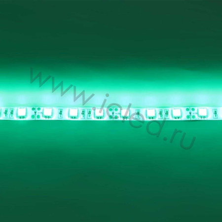 Светодиодная лента Standart PRO class, 5050, 60led/m, Green, 12V, IP65