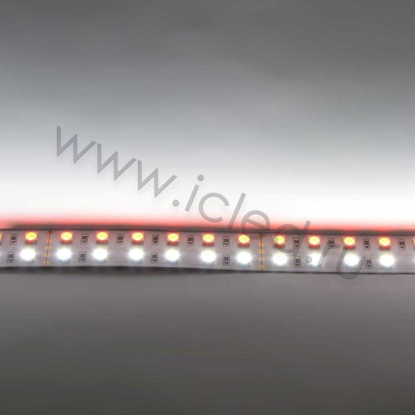 Светодиодная лента Standart PRO class, 5050, 144 led/m, RGBW, 24V, IP20
