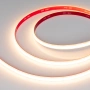 Светодиодная Лента герметичная RTW-SEW-A308-10mm 24V Warm2700 (14 W/m, IP65, 2835, 5m) (Arlight, 5 лет)