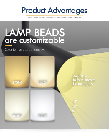 Светильник трековый однофазный TL3P