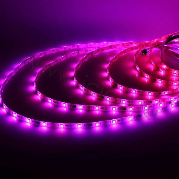 Светодиодная лента 5050, 30 led/m, A32, RGB-SPI, WS2811A controlled, 12V, IP65