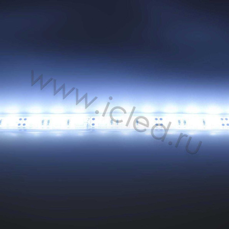 Светодиодная лента LUX class, 5050, 60 led/m, Cool White,24V,P622, IP68