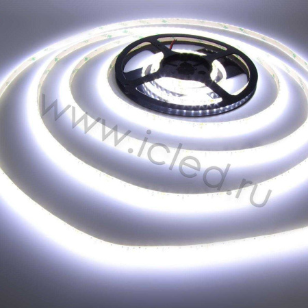 Светодиодная лента Standart PRO class, 3528, 120 led/m, Day White, 24V, IP65