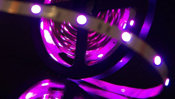 Лента светодиодная SWG SWG530