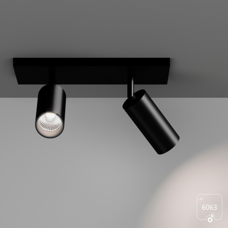 Накладной светильник Trunk Duo (RAL9003 D55 — GU10)