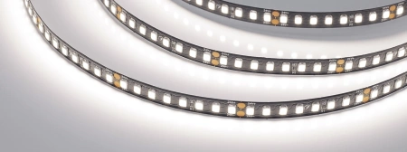 Светодиодная Лента RT-5000-2835-160-24V Day4000 (Black 8mm, 12W/m, IP20) (Arlight, -)