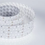 Светодиодная Лента S2-2500 24V White 5500K 52mm (2835, 420 LED/m, LUX) (Arlight, 30 Вт/м, IP20)