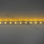 Светодиодная лента  Standart PRO class, 5630, 60led/m, Yellow,12V, IP20