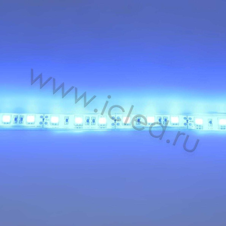 Светодиодная лента Standart PRO class, 5050, 60led/m, Blue, 12V, IP68