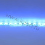 Светодиодная лента Standart PRO class, 5050, 60led/m, Blue, 12V, IP68