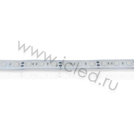 Светодиодная лента Standart PRO class, 5050, 60led/m, Red, 12V, IP68