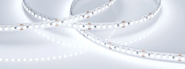 Светодиодная Лента RT-A180-8mm 24V Cool 10K (14.4 W/m, IP20, 3528, 5m) (Arlight, Открытый)