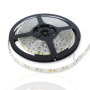 Светодиодная лента LUX class 2835 120led/m, warm white, 12V, IP65, N09