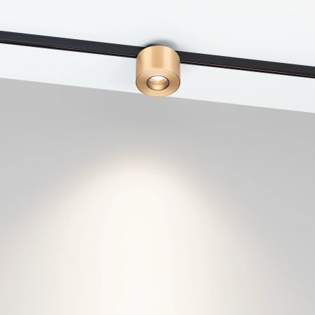 Светильник MAG-MICROCOSM-POINT-R60-5W Day4000 (GD, 36 deg, 24V) (Arlight, IP20 Металл, 3 года)